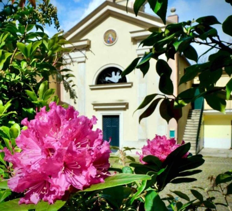 Апартаменты Rose Mary La Casa Nel Bosco Борцонаска Экстерьер фото